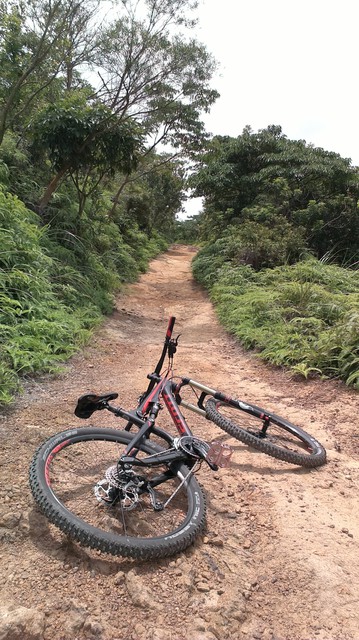 scott genius 740 bike