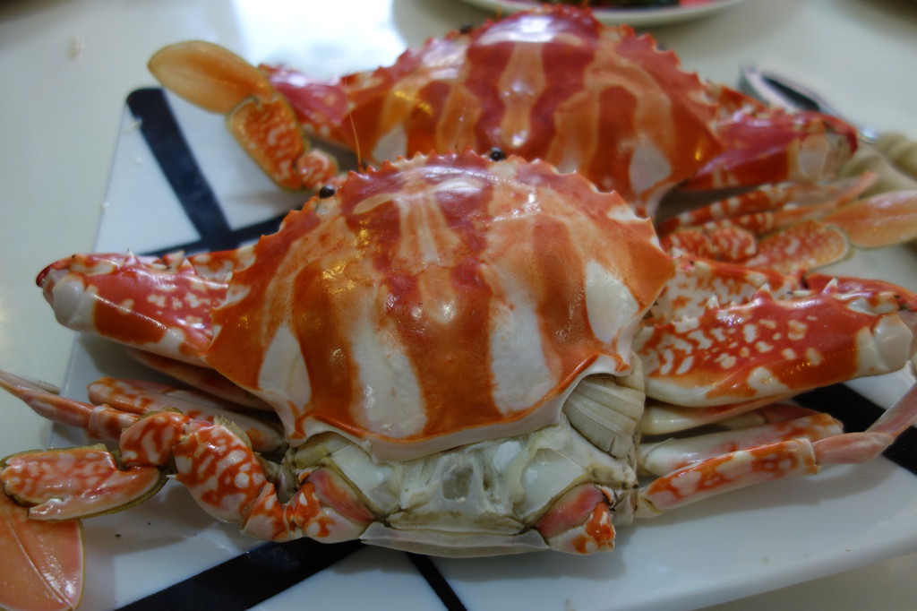 超美味的花蟹餐 萬里龜吼漁港 阿嬌海產 Pchome 個人新聞台