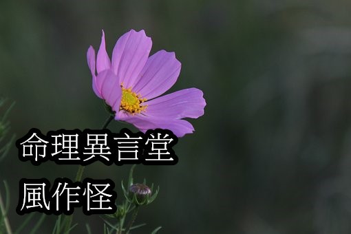 風吹