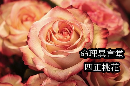 四正桃花