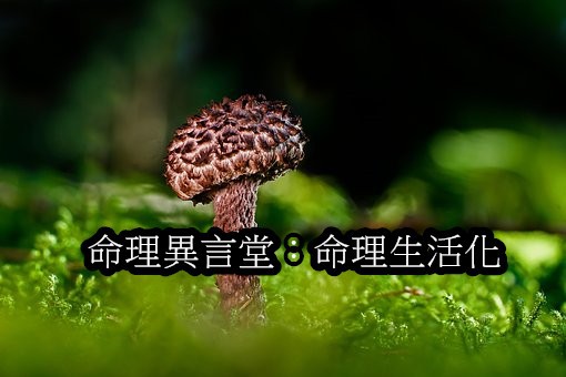 命理生活化