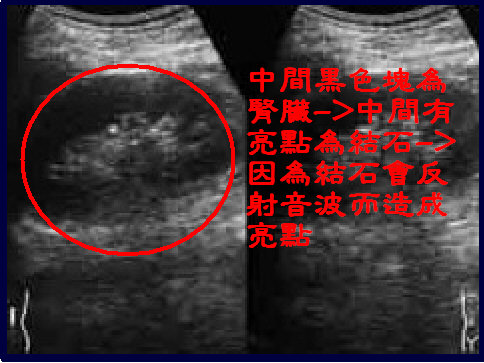 七種武器 3 大醫院小醫生vs我親愛的老婆大人 Pchome 個人新聞台