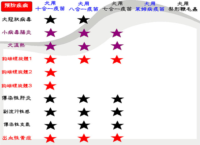 飛刀又見飛刀 2 大醫院小醫生vs我親愛的老婆大人 Pchome 個人新聞台