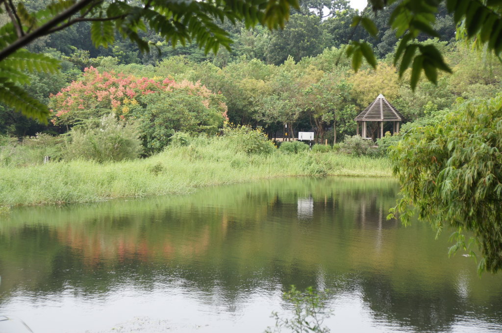 高雄市鳥松區 鳥松濕地公園 十五張圖 326鄉鎮市行腳 Pchome 個人新聞台