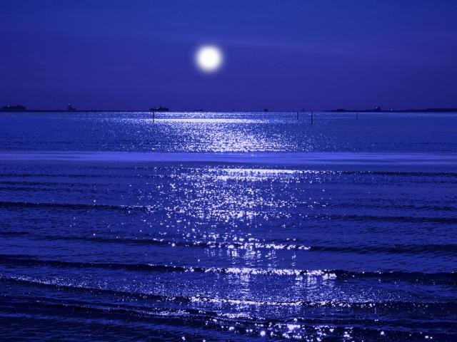 夏夜海岸 記憶曾經來過 Pchome Online 個人新聞台