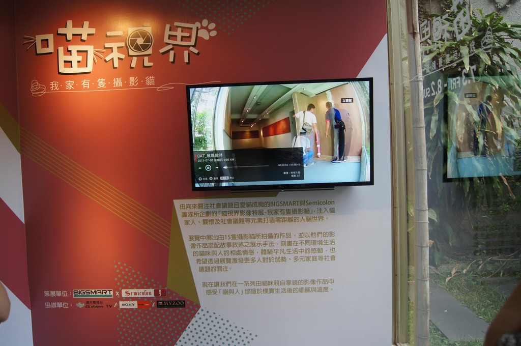 104年7月13日喵視界 我家有隻攝影貓 喵 住在雨神共行城市 Pchome 個人新聞台