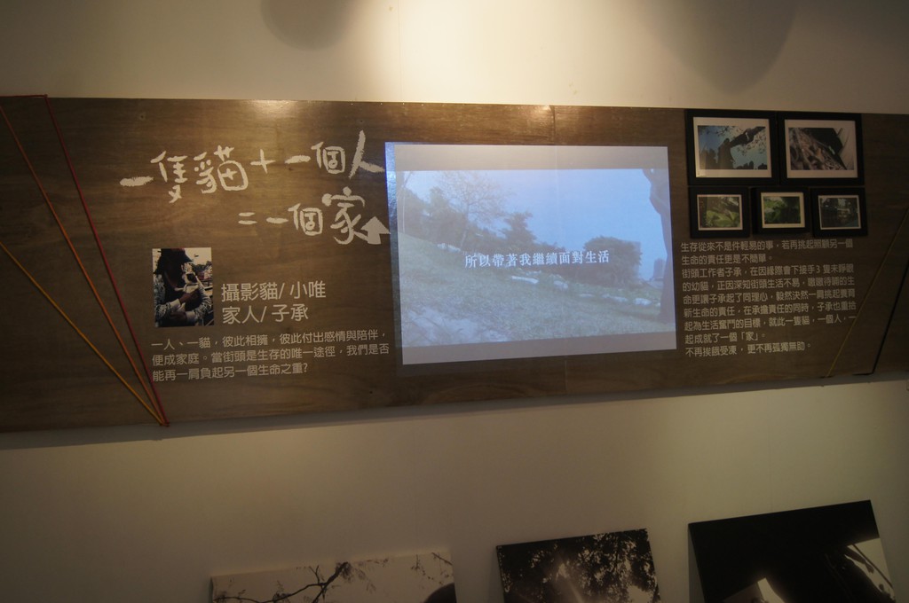 104年7月13日喵視界 我家有隻攝影貓 喵 住在雨神共行城市 Pchome 個人新聞台