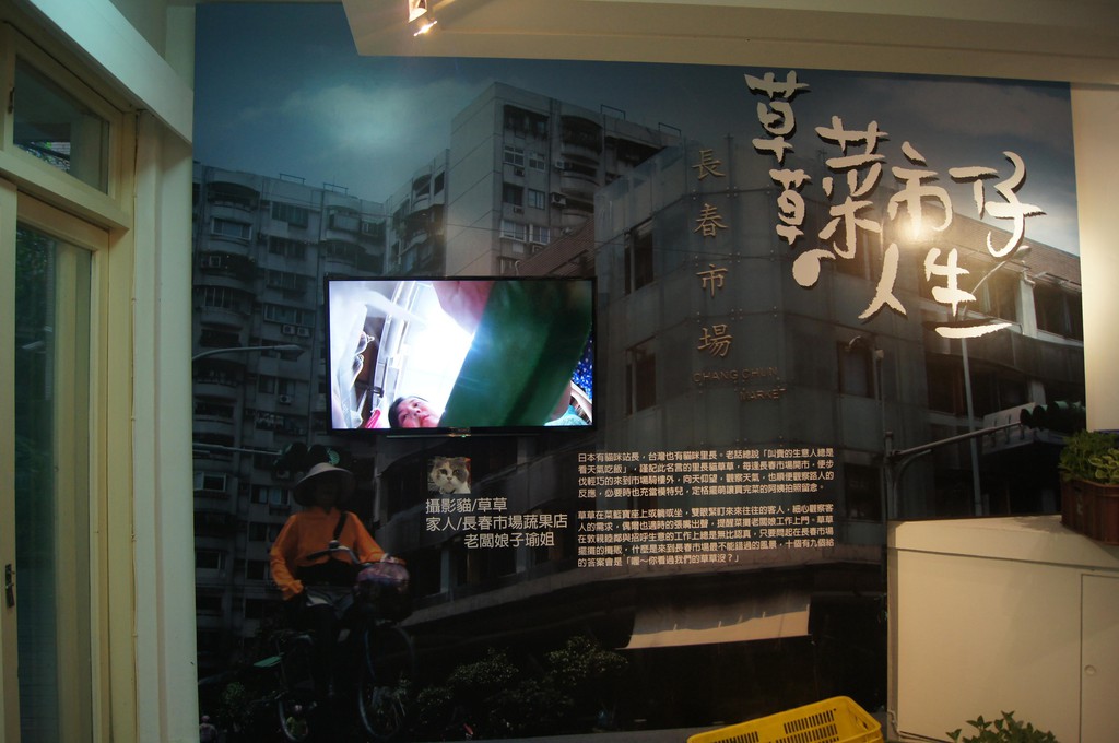 104年7月13日喵視界 我家有隻攝影貓 喵 住在雨神共行城市 Pchome 個人新聞台