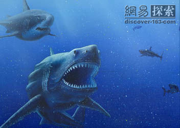 史前 巨鯊 巨齒鯊