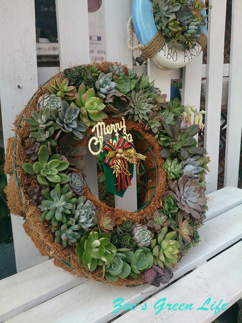 多肉聖誕花圈succulent Xmas Wreath 多肉綠生活館zoe S Pchome 個人新聞台