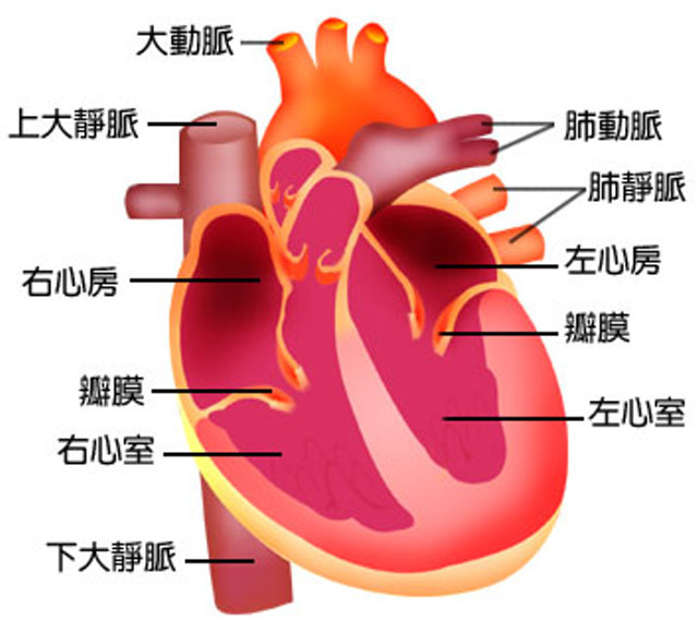 點圖放大