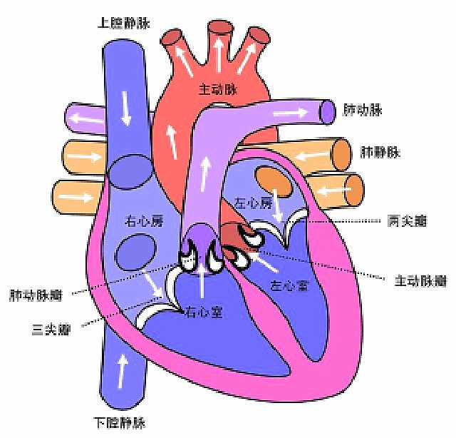 點圖放大