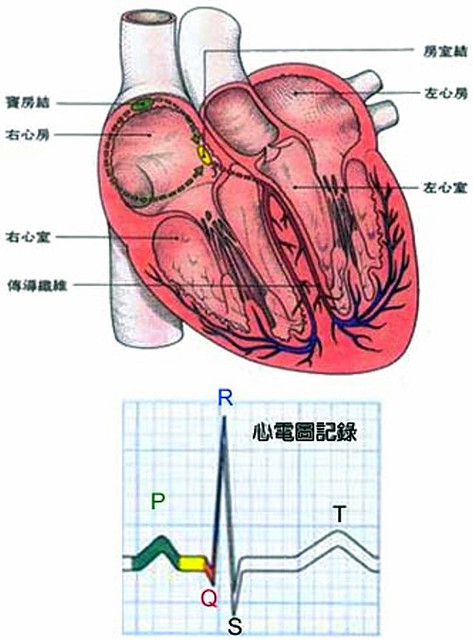 點圖放大