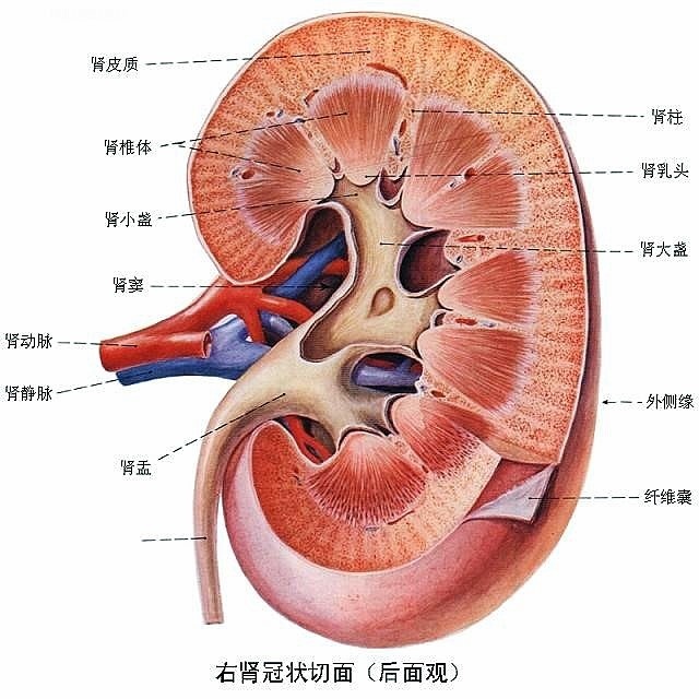 點圖放大