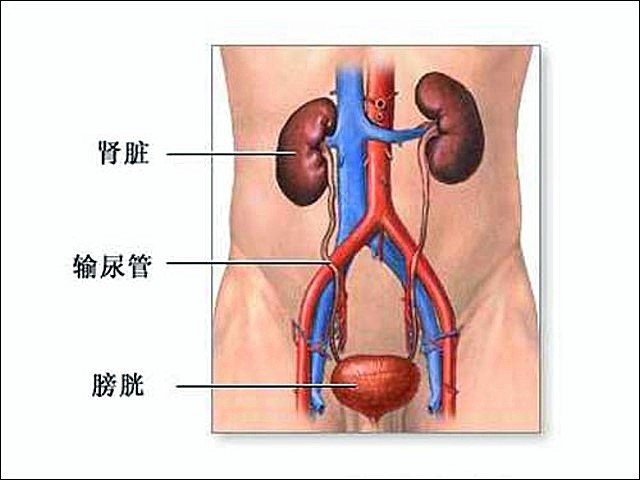 點圖放大