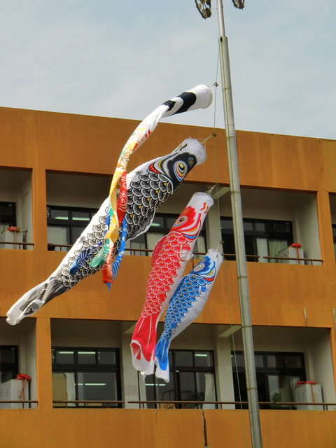 日僑門口掛的鯉魚旗們 台北ゲストハウスキラキラ Pchome 個人新聞台