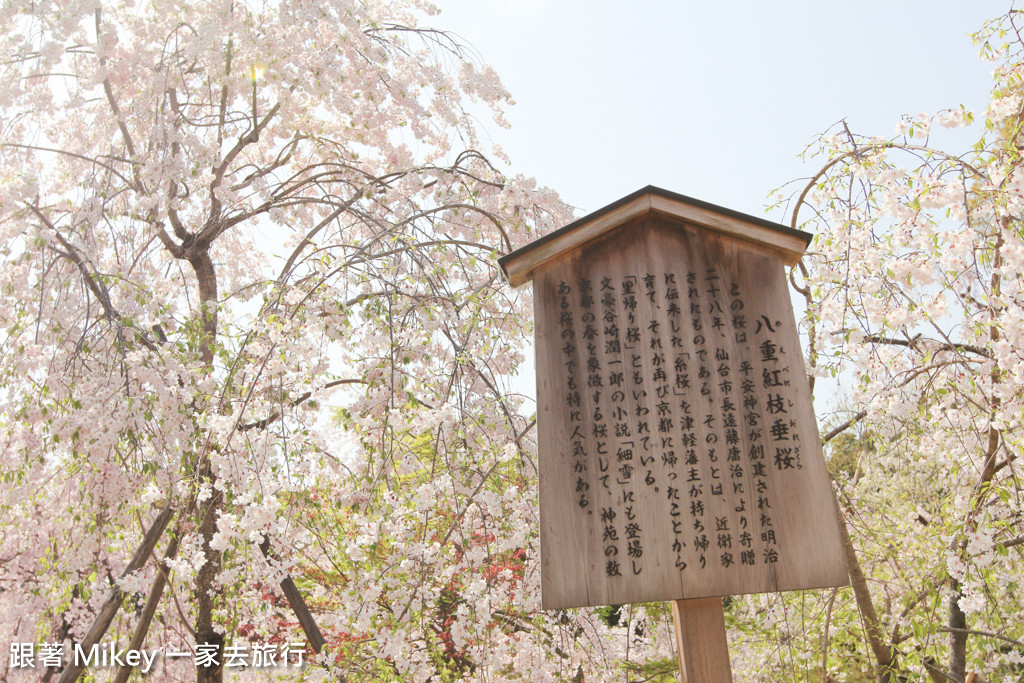 京都 平安神宮 Part Ii 跟著mikey 一家去旅行 Pchome 個人新聞台