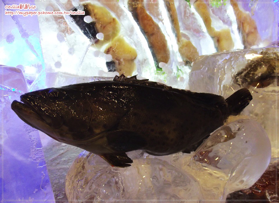 [活動記錄] 2015全國優質石斑魚頒獎典禮