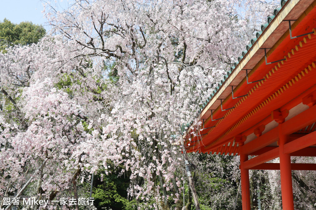 京都 平安神宮 Part Ii 跟著mikey 一家去旅行 Pchome 個人新聞台