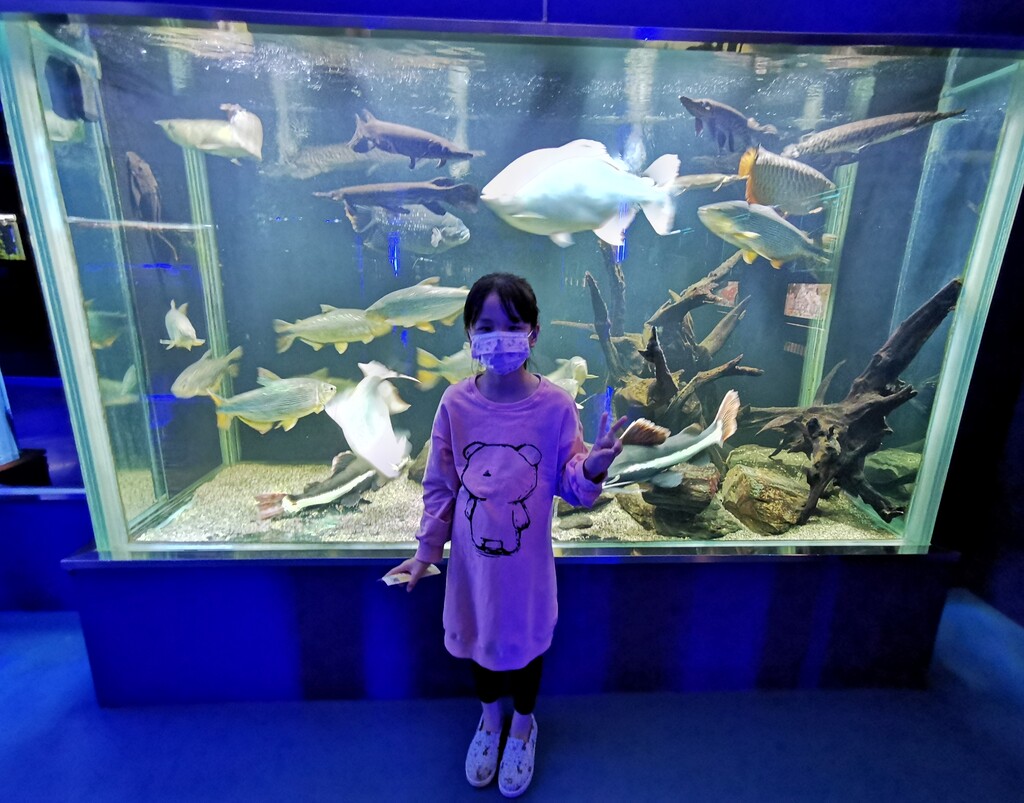 超大水族館の 亞太水族中心 觀賞魚展示廳 山居歲月之生活雜記 Pchome 個人新聞台