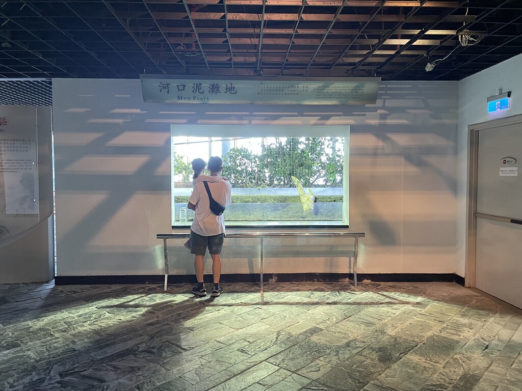 屏東放風日誌~親子同遊海生館