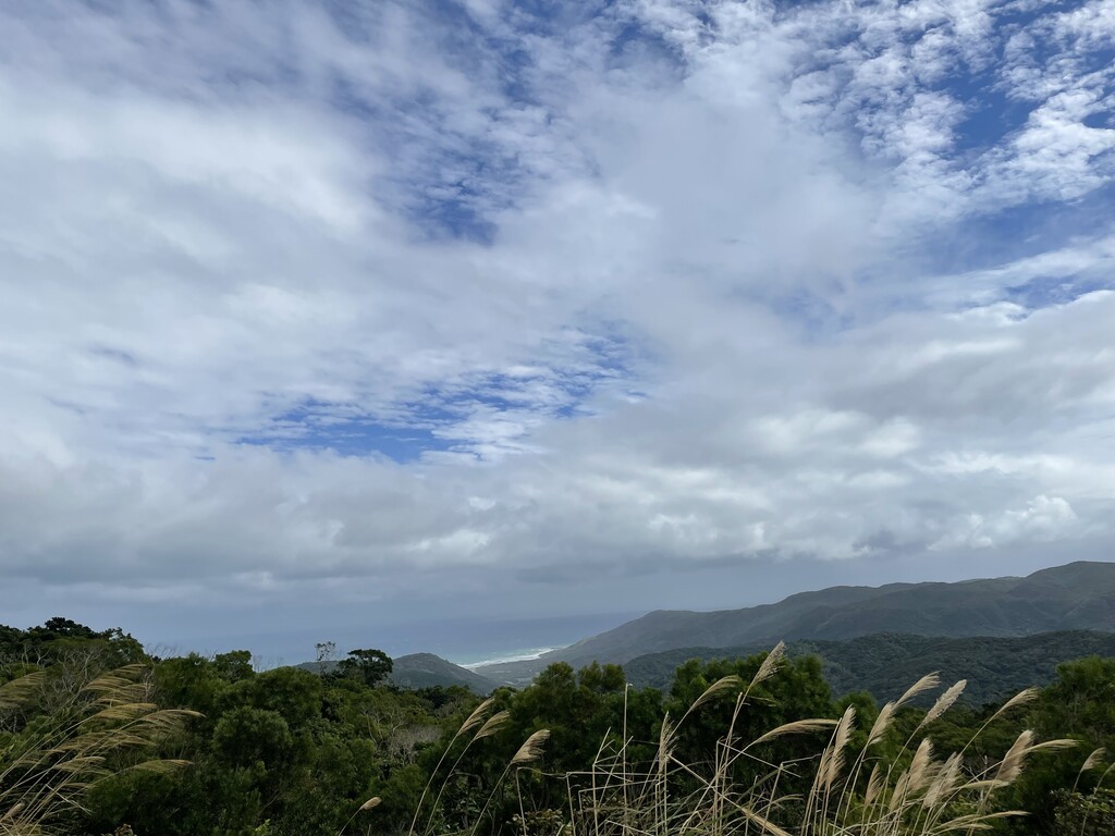 高士神社~一塊淨土安靜的想望
