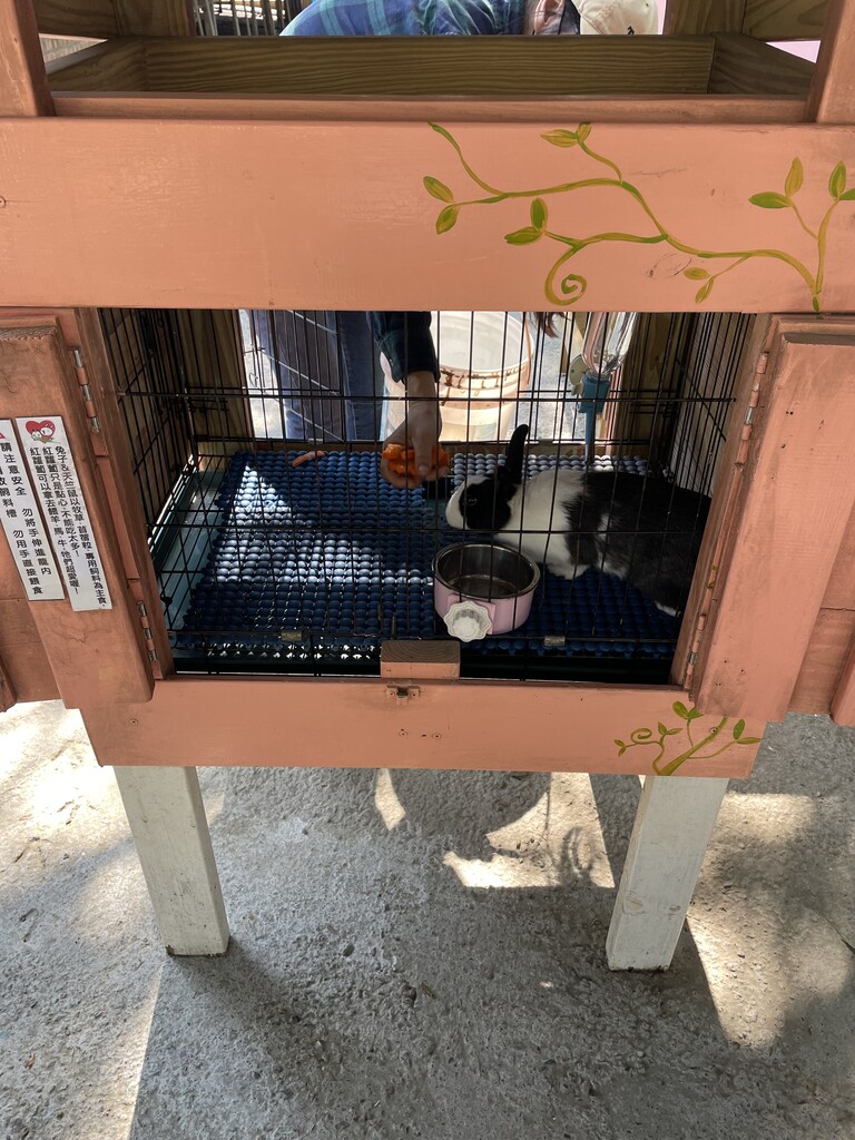 臺南樹谷好好玩~動物農場孩子也好喜歡