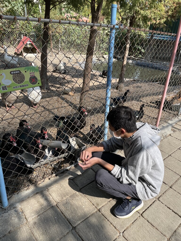 臺南樹谷好好玩~動物農場孩子也好喜歡
