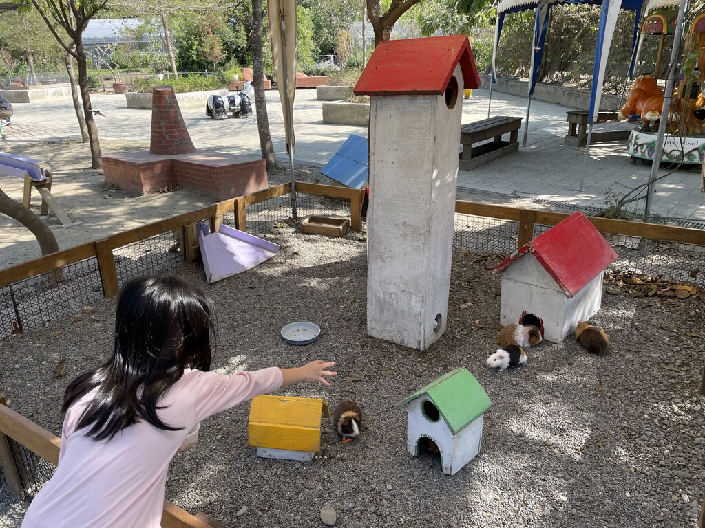 臺南樹谷好好玩~動物農場孩子也好喜歡